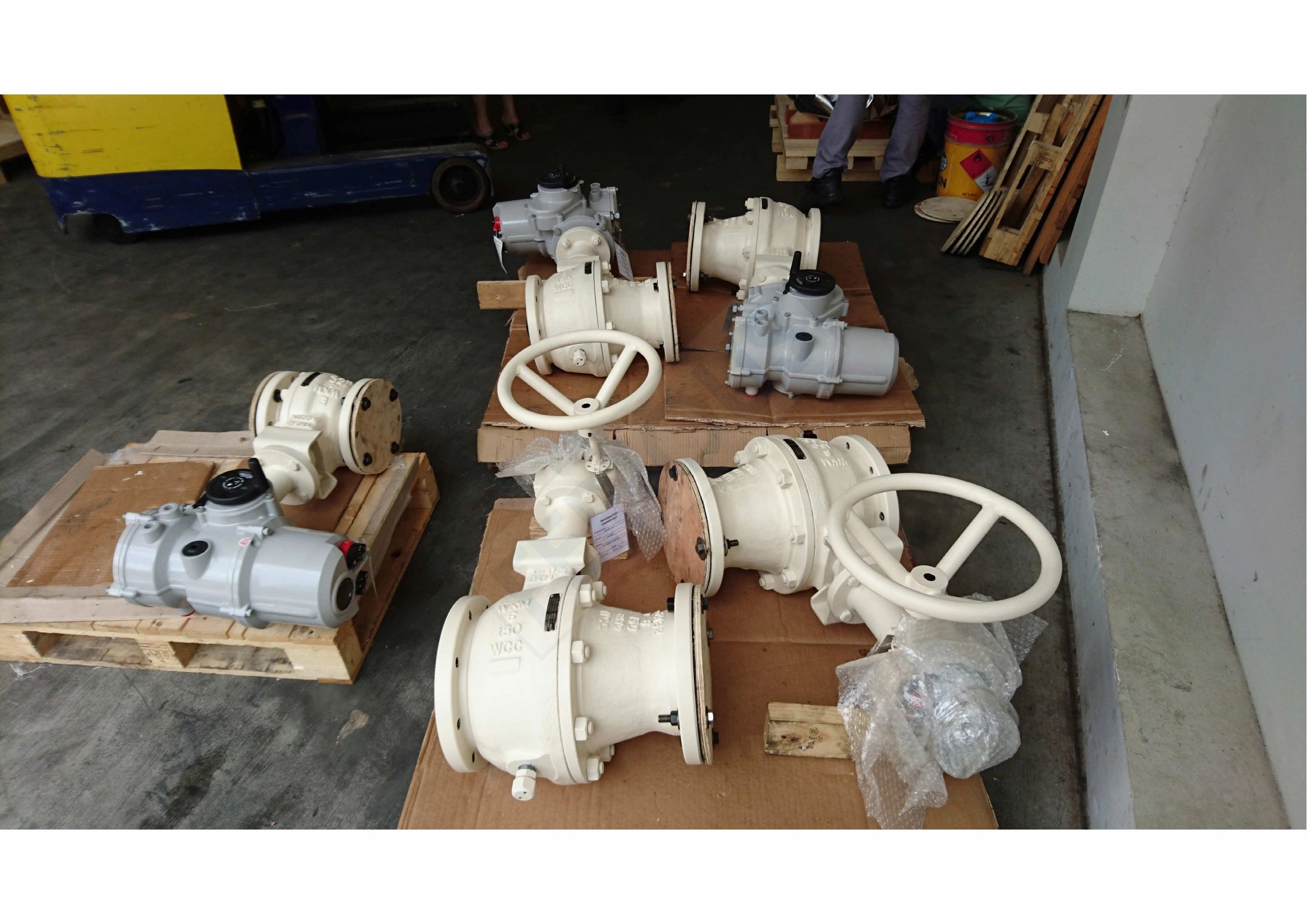 WKM Valve in Ferrous Asia Pte Ltd